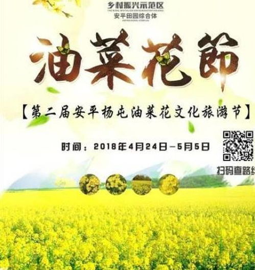 被動攔石網廠家中心爆出新聞 高效攔石網技術突破行業瓶頸